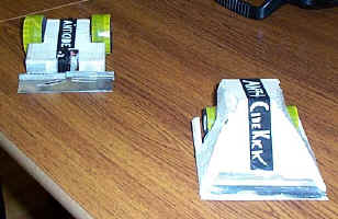 The Anti Cides (the winning team of this ant weight world series)