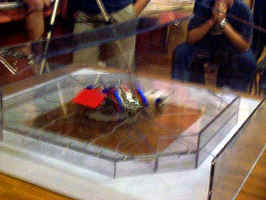 Death and Destruction in the Arena