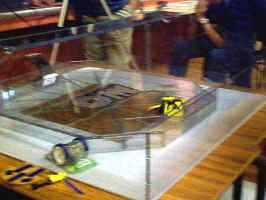 Manic Mayhem in the Arena