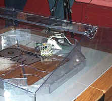 Ant weight Action in the Arena