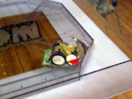 Ouch, that must hurt!