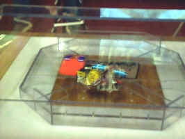 Chaos and carnage in the arena.