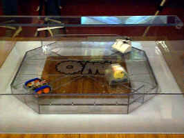 They're Battling Bonkers!