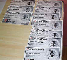 Lots of award certificates