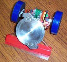 An ant weight with a spinner weapon - one lethal and deadly little ant.