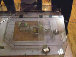 Devastation in the Arena